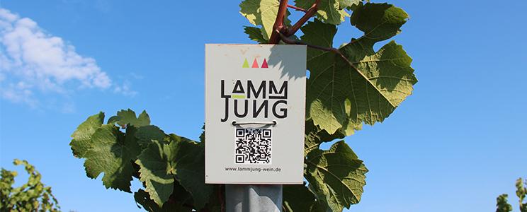 Weingut Lamm-Jung: Cuvée (Weiß)