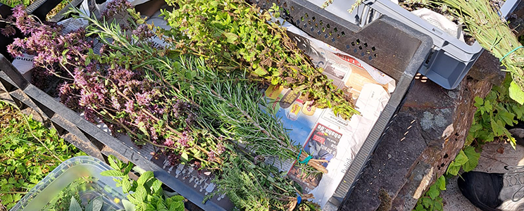 Winninger Sektmanufaktur C-Kloss 