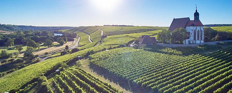 Weingut Zur Schwane 