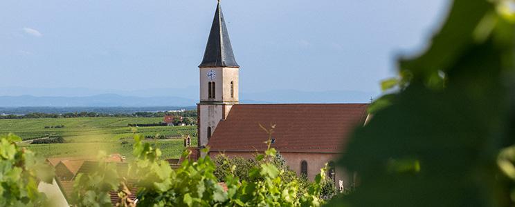 Domaine Sohler Les Vigneronnes 