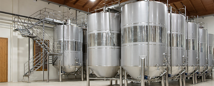 Viñedos y Bodegas Lyng 