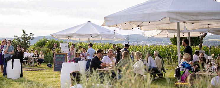 Weingut Esterhazy 