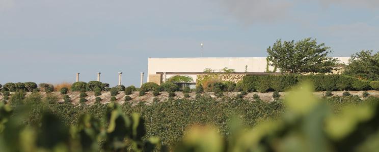 Bodega Miguel Domecq 