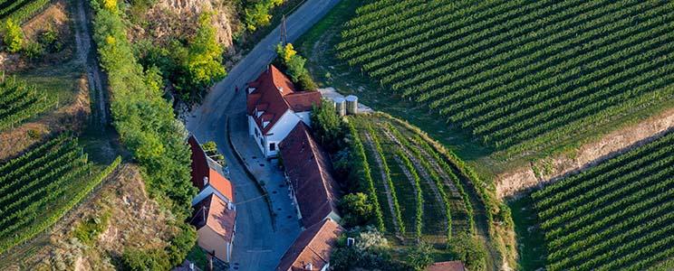 Weingut Mittelbach 