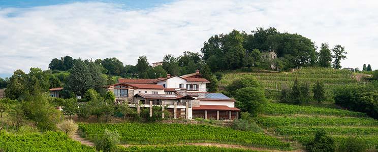 Azienda Agricola Muzic 