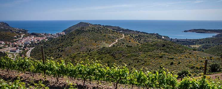 Celler Hugas de Batlle 