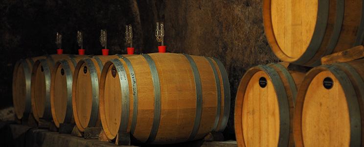 Weingut Senfter 