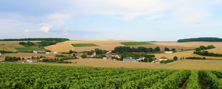 Champagne James Geoffroy 