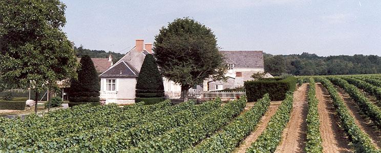 Domaine des Ouches 