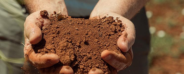 Masseria Borgo dei Trulli 