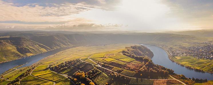 Weingut Mathias Mertes 