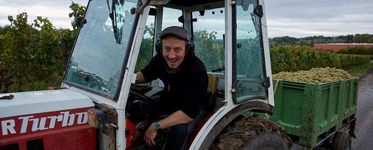 Bioland Weinmanufaktur Felix-Wein 