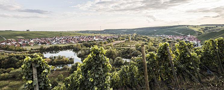 Weingut Zur Schwane 