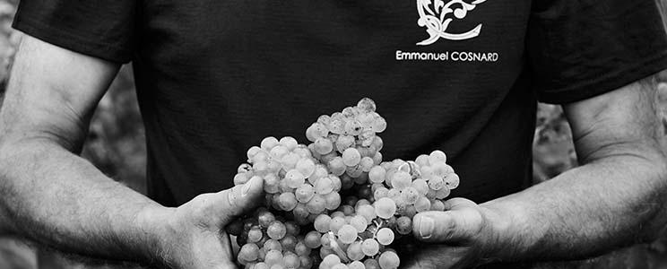 Champagne Emmanuel Cosnard 