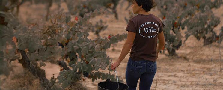 Annapurna - High Altitude Wine 