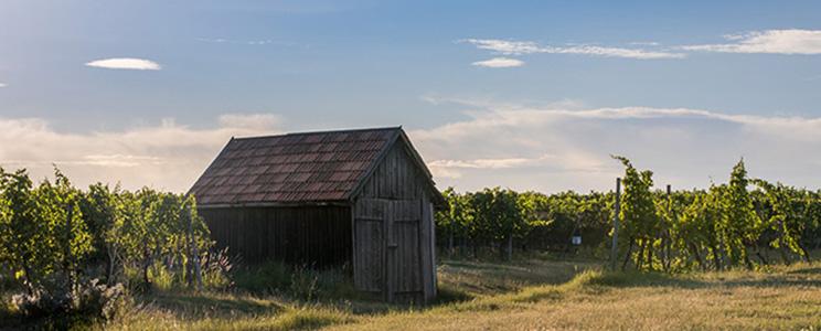 Weinhof Anton Waldschütz 