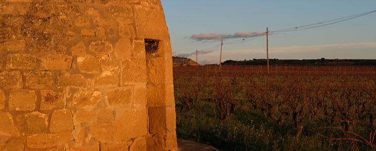 Bodegas Cornelio Dinastía 