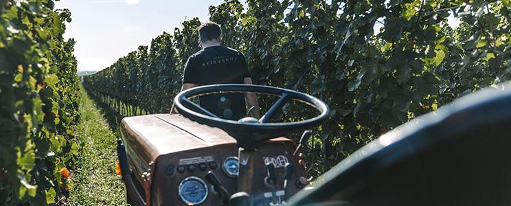 Weingut Stefan Reinhardt 