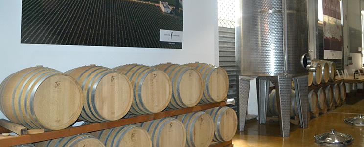 Cantina Fiorentino 