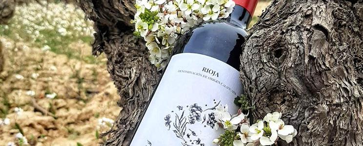 Bodegas J.F. Iradier 