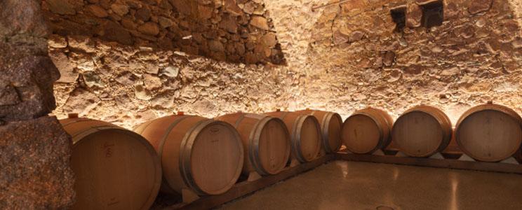 Weingut Nicolussi-Leck 