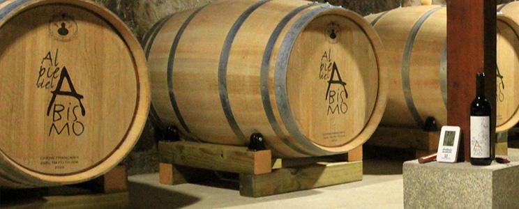 Bodega Al Pie del Abismo 