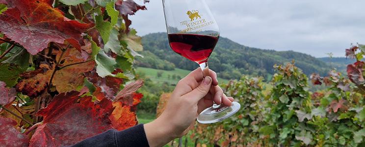 Winzer vom Weinsberger Tal 