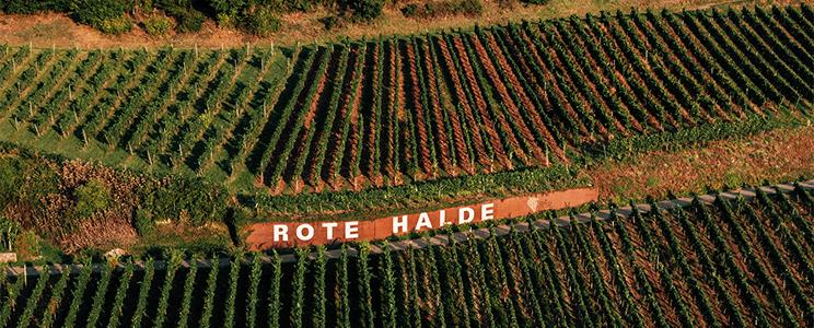 Sasbacher Winzerkeller 