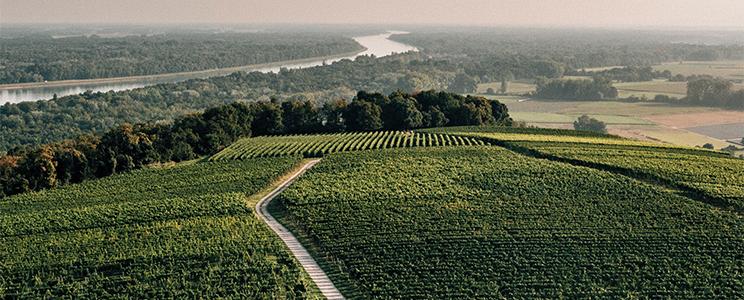 Sasbacher Winzerkeller 