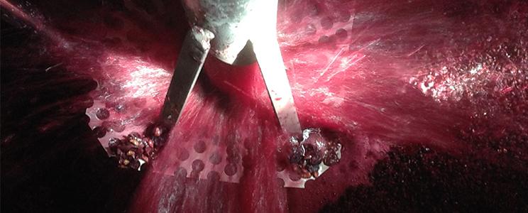 La Rocchetta di Mondondone 