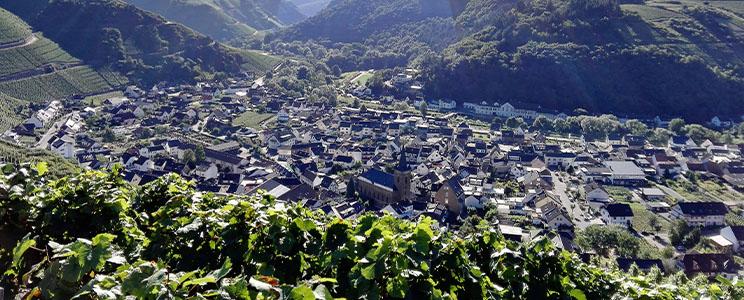 Weinmanufaktur Dagernova 