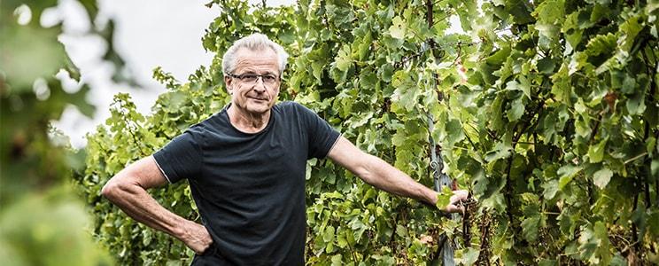 Weingut und Weinstube Marienhof: Schwarzriesling