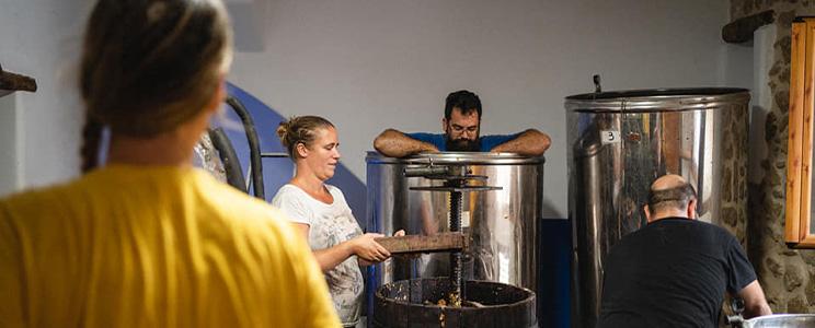 Manu Guardiola Viticultor 