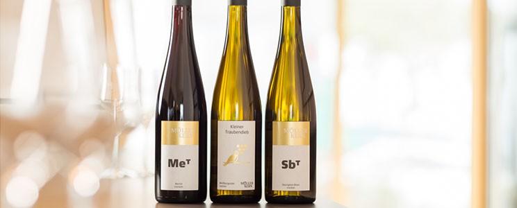 Weingut Müller-Kern: Weißwein
