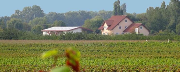 Wein- & Likörhaus Jung: Rotwein