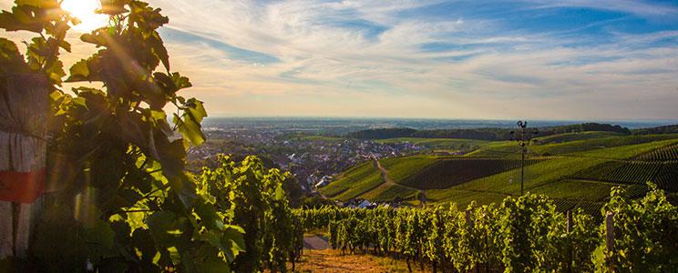  Weinmanufaktur Gengenbach: Perlwein