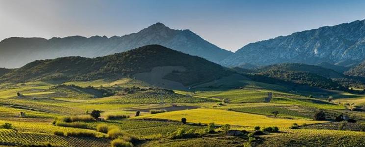 Les Vignerons de Maury 