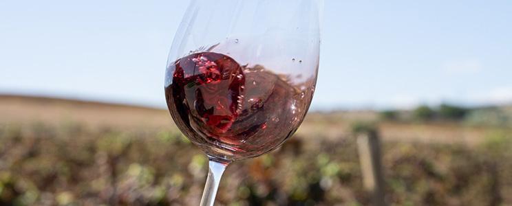 Hacienda La Quintería 