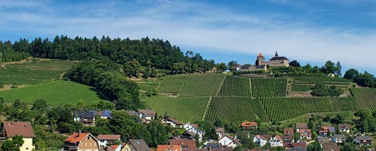 Weingut Schloss Eberstein: Auslese