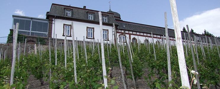 Weingut Schloss Saarstein 