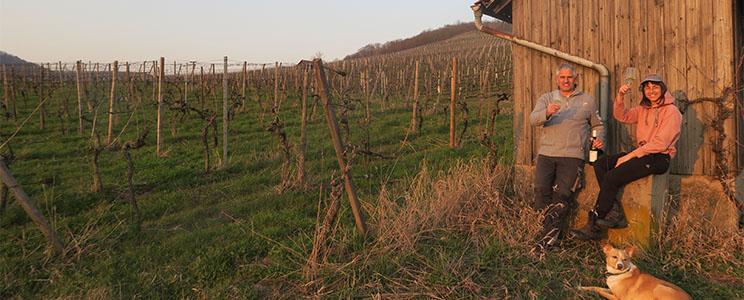  Weinbau Schwab: Qualitätswein