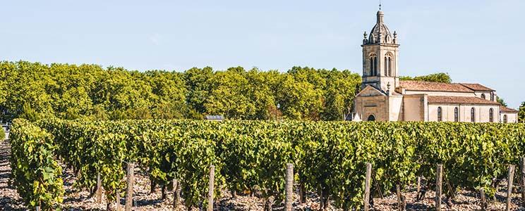 Les Héritiers du Comte Lafon 