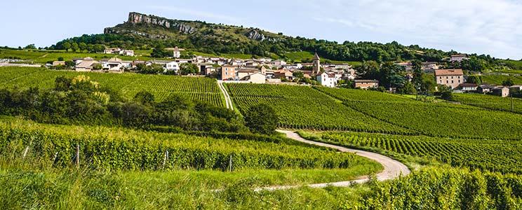 Les Héritiers du Comte Lafon 