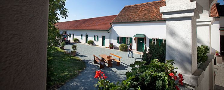Wachter Wein 