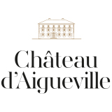 Château d'Aigueville 