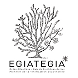 Egiategia