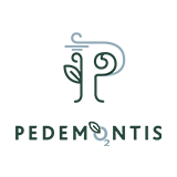 Pedemontis 