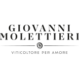 Giovanni Molettieri