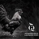 Alejandro Gallo & Quiquere Wines