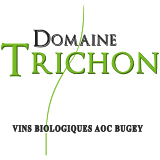 Domaine Trichon